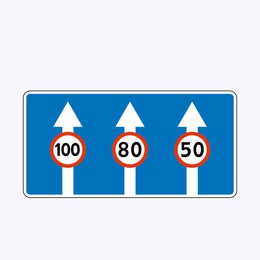 «Число полос»