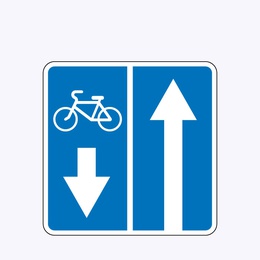 «Дорога с полосой для велосипедистов»