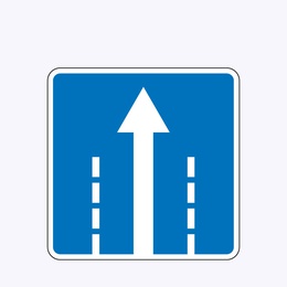 «Направление движения по полосе»